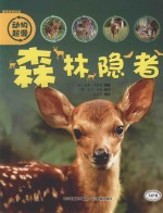 森林隐者 封面