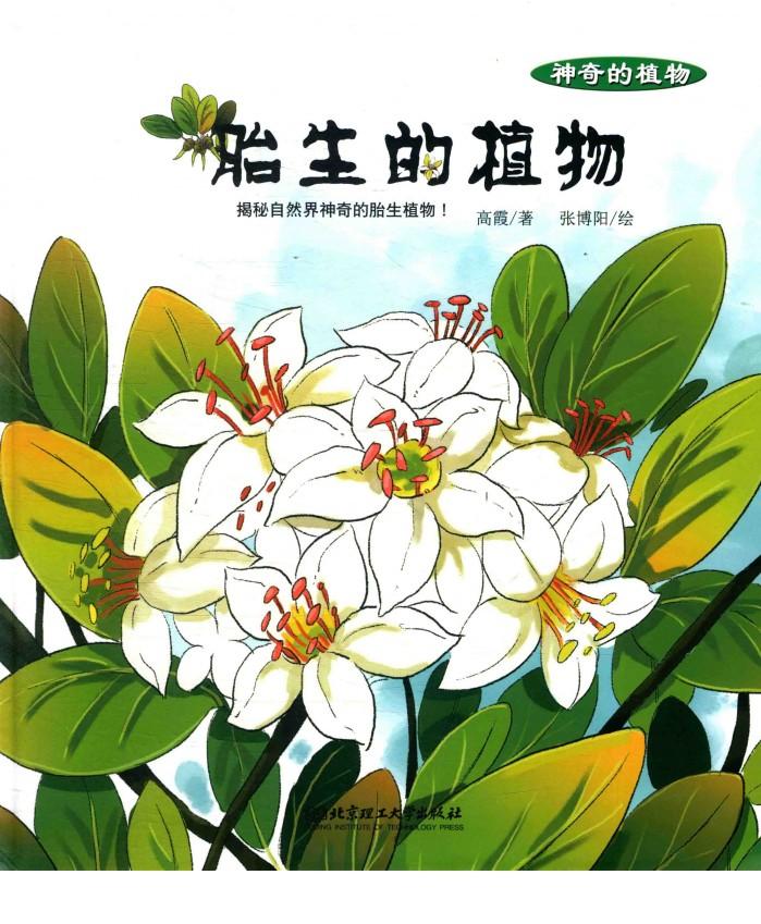 神奇的植物 胎生的植物