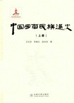 中国西南民族通史  上 封面