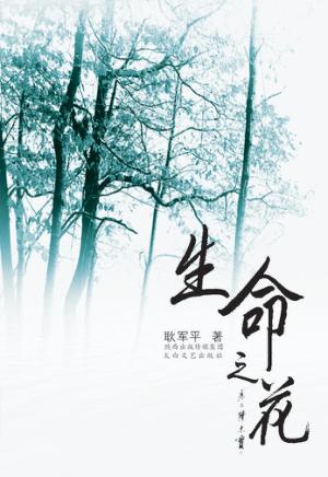 生命之花 封面