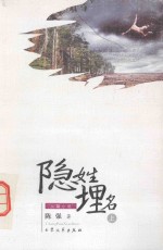 长篇小说  隐姓埋名  上 封面