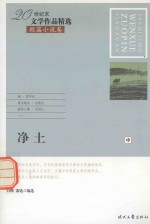 20世纪末文学作品精选  短篇小说卷  净土  中 封面