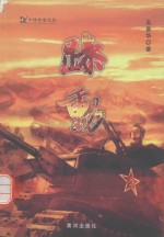 中国作家文丛  躁动 封面