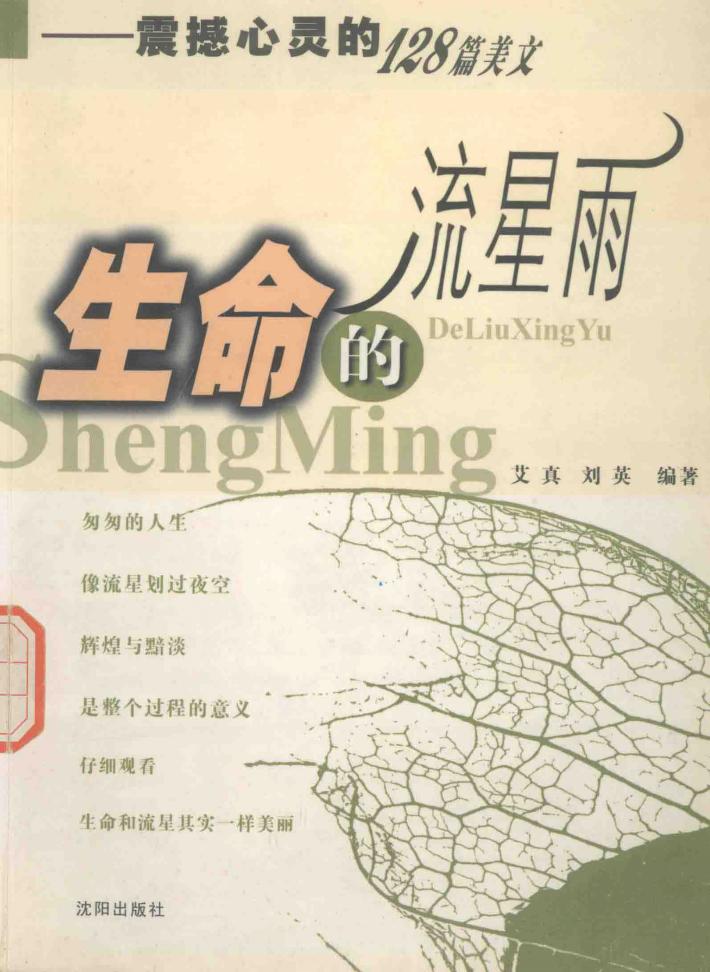生命的流星雨  震撼心灵的128篇美文 封面