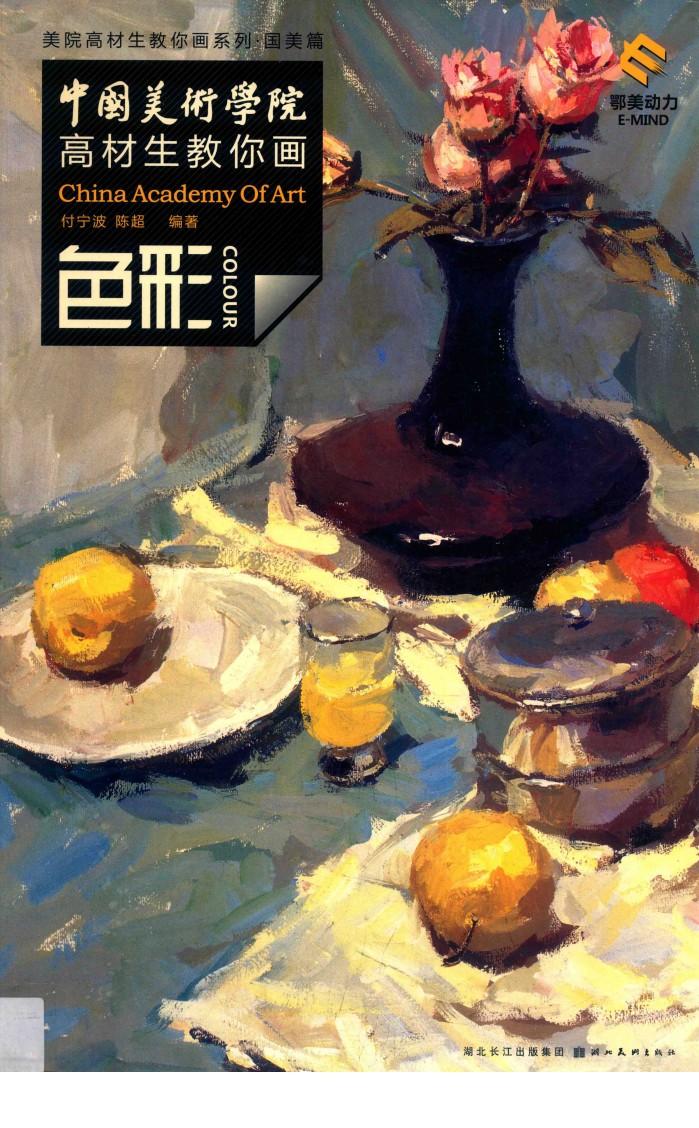 中国美术学院高材生教你画  色彩 封面