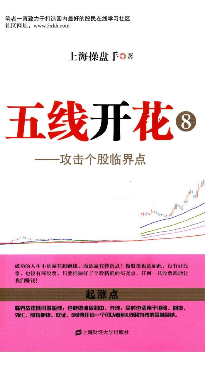 五线开花  8  攻击个股临界点 封面