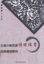 云南少数民族传统体育的系统性研究 封面