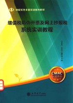 增值税防伪开票及网上抄报税系统实训教程 封面