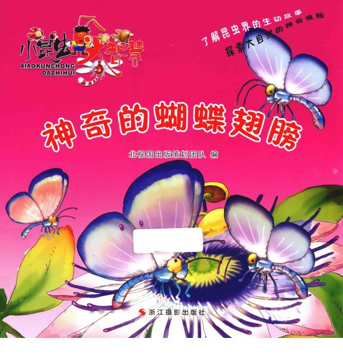 大昆虫大智慧  神奇的蝴蝶翅膀 封面