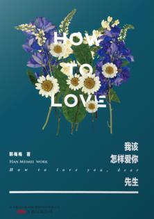 我该怎样爱你  先生 封面