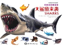 大鲨鱼来袭 封面