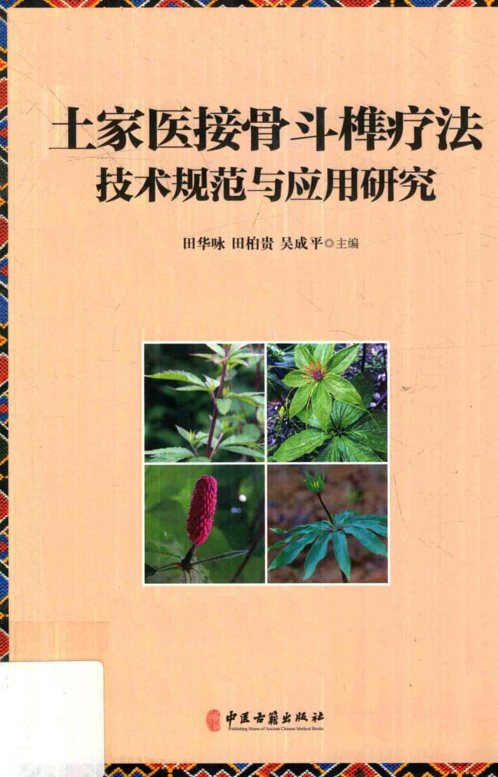 土家医接骨斗榫疗法技术规范与应用研究 封面