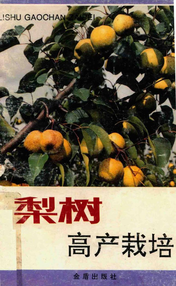 梨树高产栽培 封面