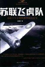 苏联飞虎队  苏联空军志愿队援华抗日纪实 封面