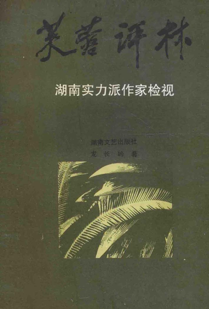 芙蓉评林  湖南实力派作家检视 封面