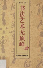 书法艺术无顶峰 封面