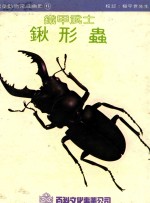 儿童动物常识画册  锹形虫  铁甲武士 封面