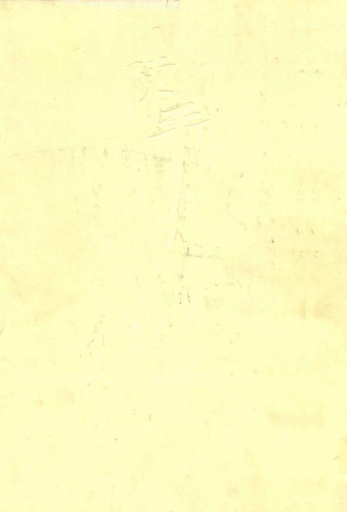 20世纪下半页中国画家丛书  新文人画  陈平 封面