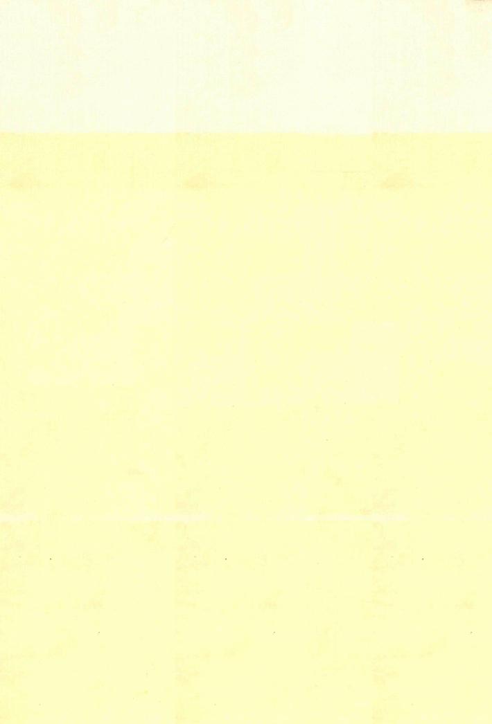 20世纪下半页中国画家丛书  新文人画  王镛 封面