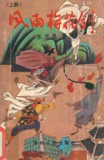 风雨梅花剑  上 封面