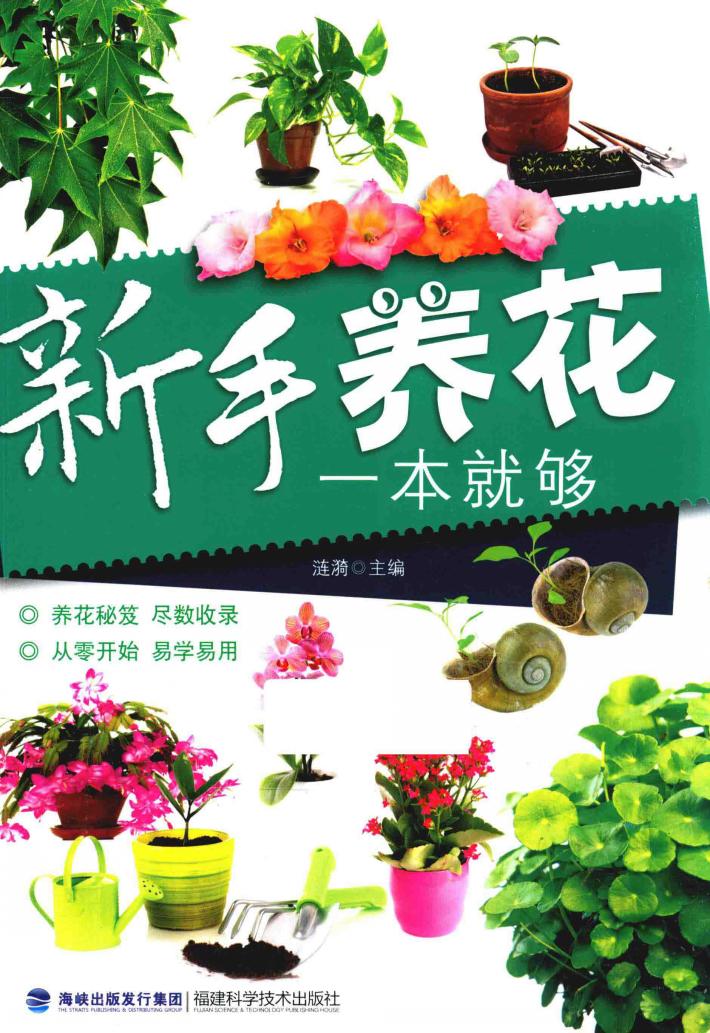 新手养花一本就够 封面