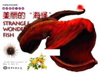 海洋怪物小百科  美丽的海怪 封面