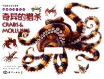 海洋怪物小百科  奇异的猎杀 封面