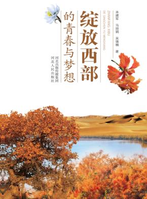 绽放西部的青春与梦想 封面
