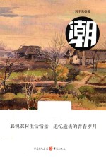 潮 电子书封面