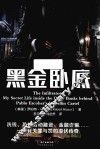 黑金卧底  洗钱  恐怖活动融资  金融诈骗  一部有关罪与罚的潜伏传奇 封面