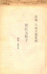 梁红玉斩子  新编六场古装雷剧 封面