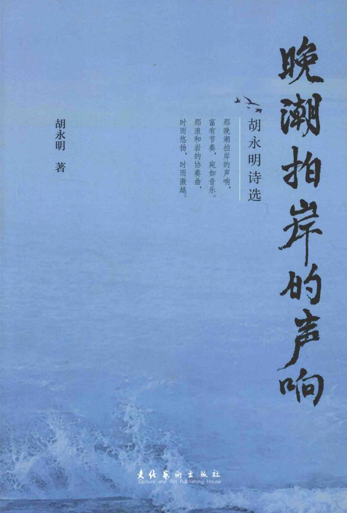 晚潮拍岸的声响 封面