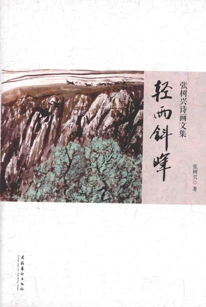 轻雨斜晖 封面