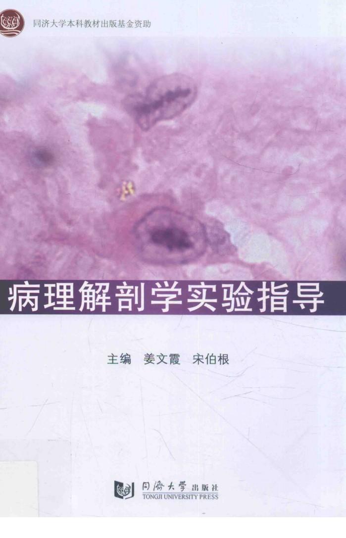 病理解剖学实验指导 封面