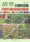 蔬菜主要病虫害识别与防治彩色图谱 封面