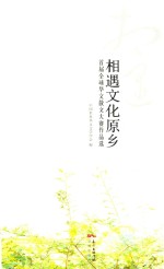 相遇文化原乡  首届全球华文散文大赛作品选 电子书封面