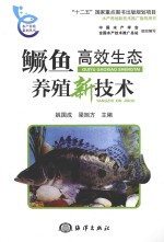 鳜鱼高效生态养殖新技术 封面