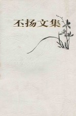 丕扬文集 封面