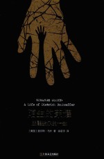 陌生的荣耀  朋霍费尔的一生 封面