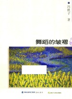 自说自画丛书  舞蹈的皱褶 封面