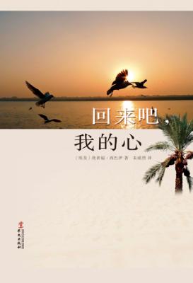 回来吧，我的心 封面