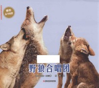 野狼合唱团 封面