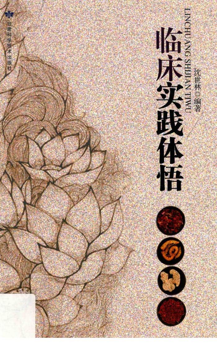 临床实践体悟 封面