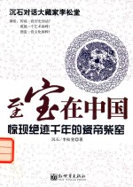 至宝在中国  惊现绝迹千年的瓷帝柴窑 封面