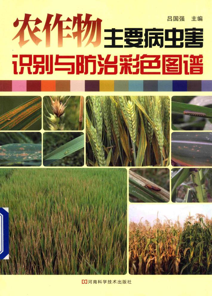 农作物主要病虫害识别与防治彩色图谱 封面