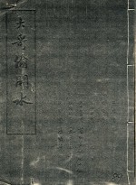 大奇偷闬水 封面