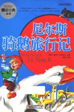 亲近经典丛书  尼尔斯骑鹅旅行记 封面