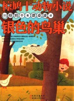 银色的鸟巢 封面