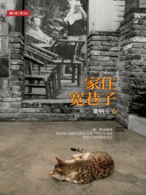 散花书丛  家住宽巷子 封面