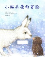 小猫头鹰的冒险 电子书封面